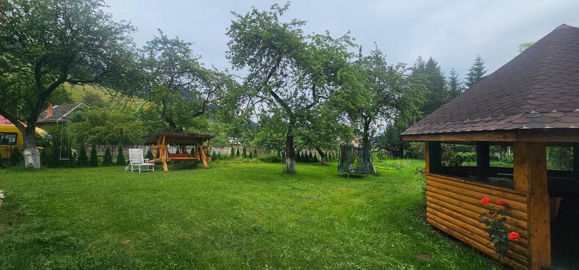 Villa Ileana Ceahlău Exteriör bild